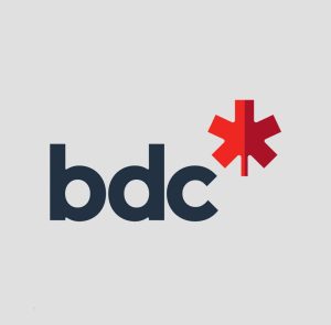 bdc gray logo